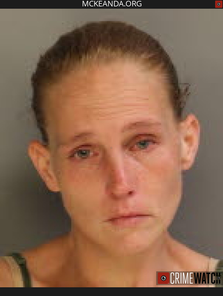 WOMAN SENTENCED TO STATE PRISON AFTER INVESTIGATION BY MCKEAN COUNTY DRUG TASK FORCE