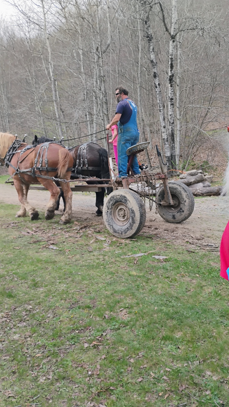 Spring Traditions Come Alive at Pennsylvania Lumber Museum’s Annual Show