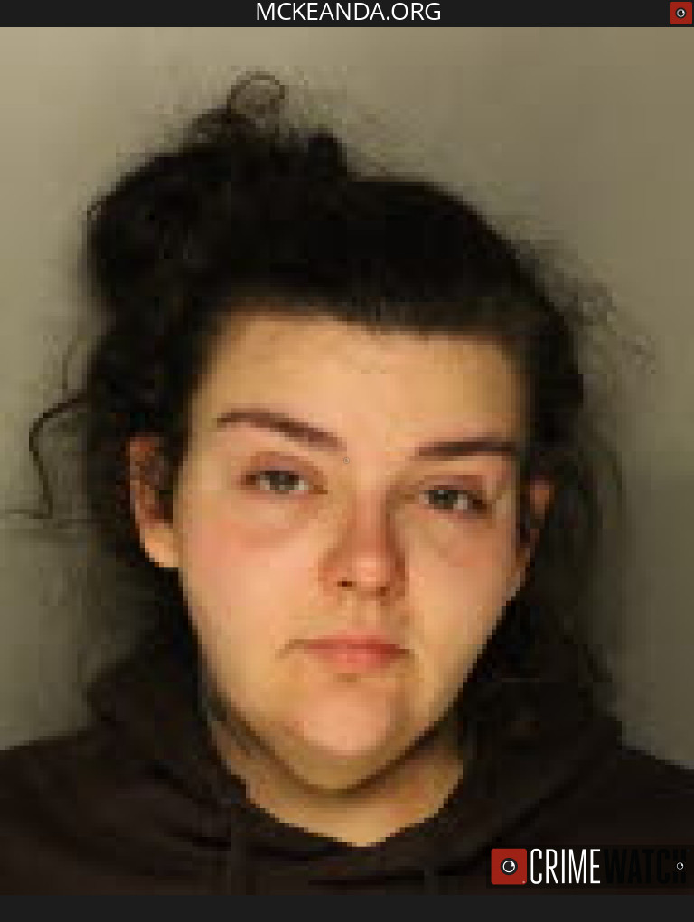 BRADFORD WOMAN SENTENCED TO STATE PRISON FOR DRUG CRIMES AFTER ARREST BY MCKEAN COUNTY DRUG TASK FORCE