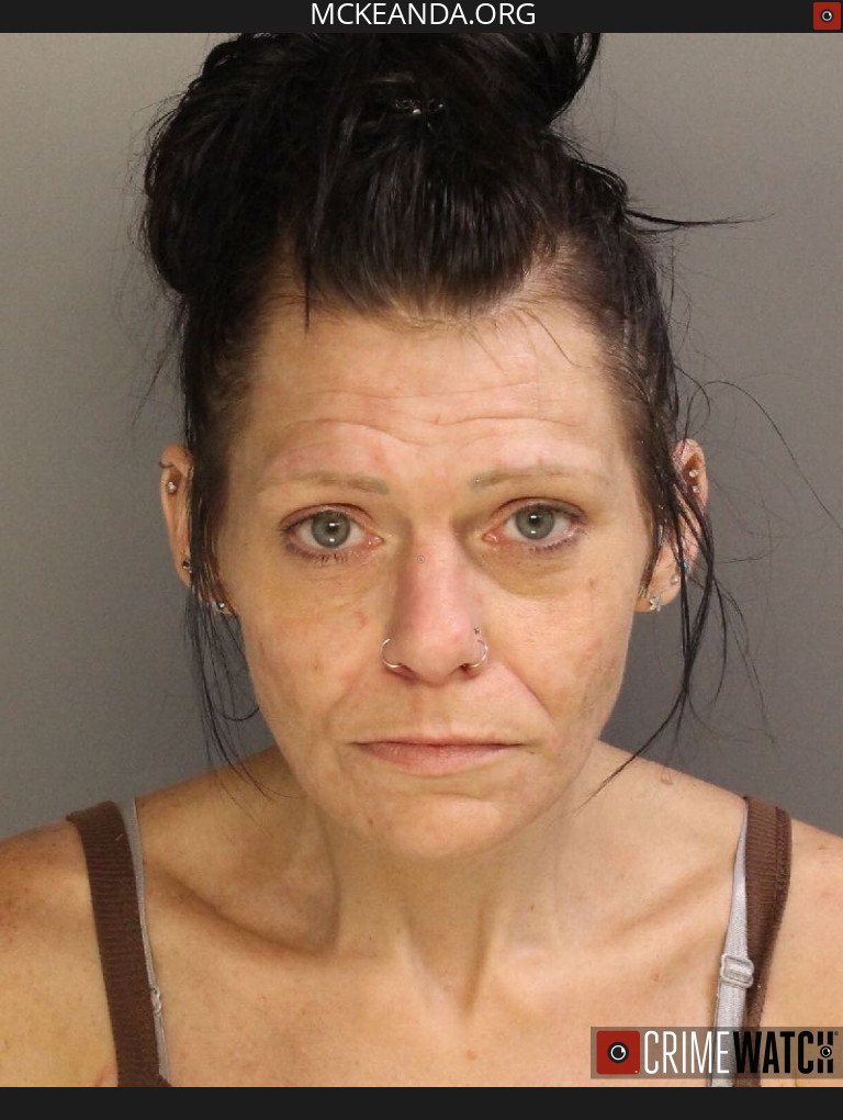 BRADFORD WOMAN SENTENCED TO STATE PRISON ON CHARGES FILED BY MCKEAN COUNTY DRUG TASK FORCE AND PSP