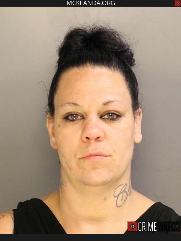 WOMAN PLEADS GUILTY TO DELIVERING METHAMPHETAMINE AFTER ARREST BY MCKEAN COUNTY DRUG TASK FORCE